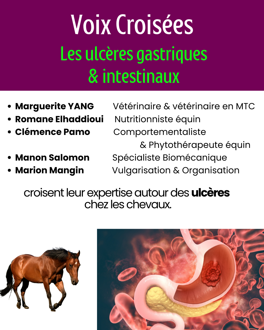 Les ulcères gastriques (Publication Instagram (45))