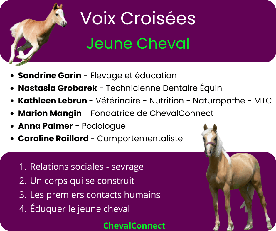 jeune