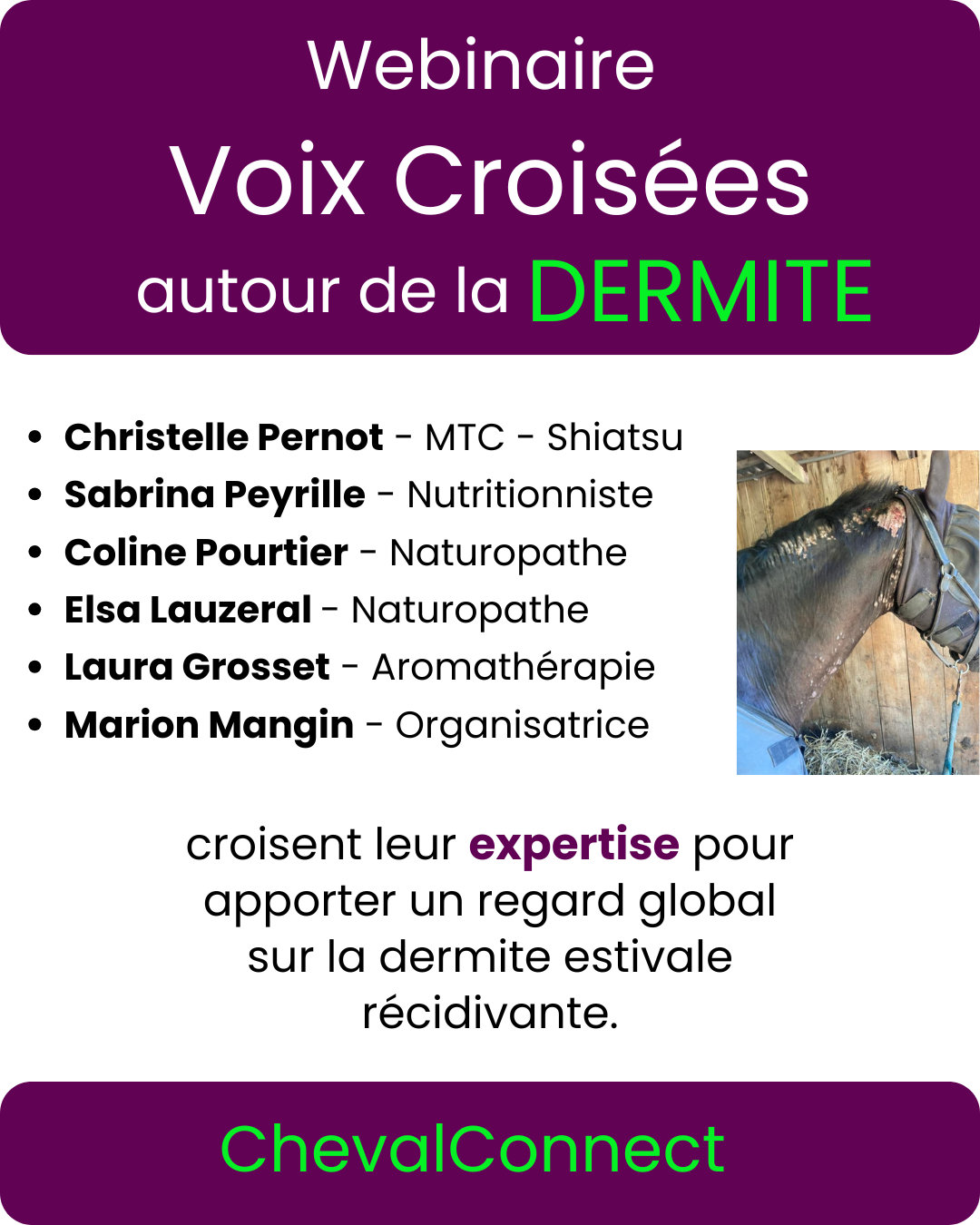 webi dermite2