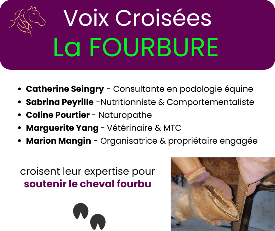 webi fourbure