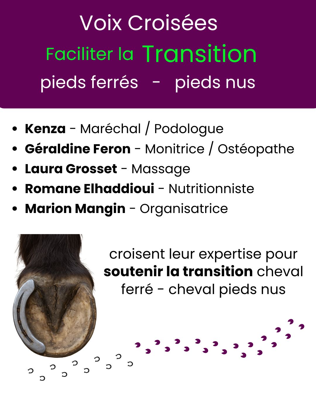 webi transition